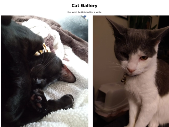 catgallery screenshot