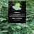 riverbankwillow.yorniq.xyz avatar