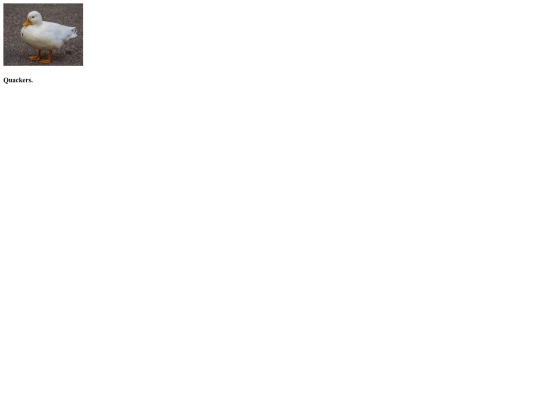 secret screenshot