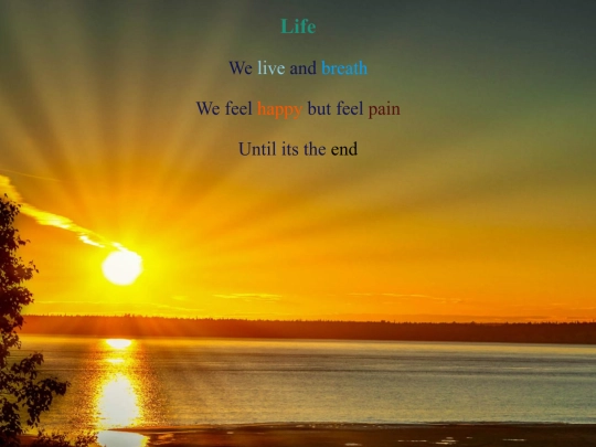haiku screenshot