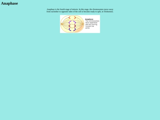 Anaphase screenshot