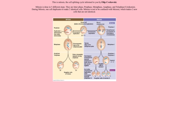 Info screenshot