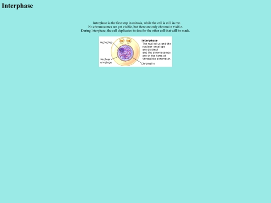 Interphase screenshot