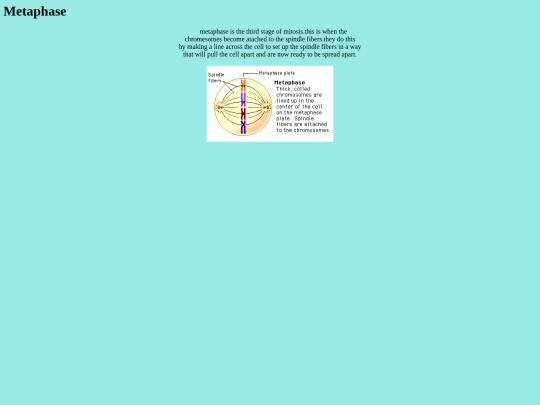 Metaphase screenshot