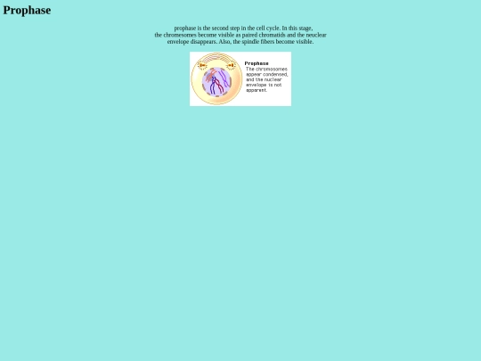 Prophase screenshot