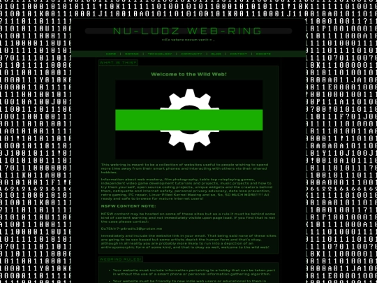 webring screenshot