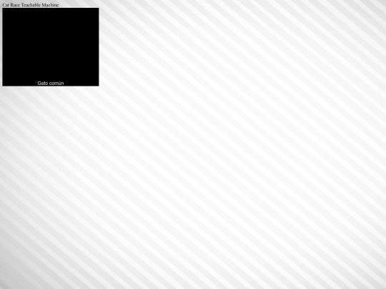 machinelearning/Cat Race Detector screenshot