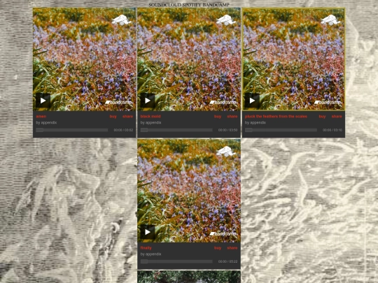 appendix screenshot