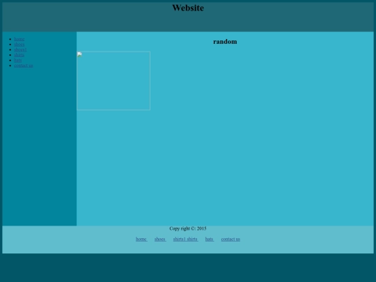 css screenshot