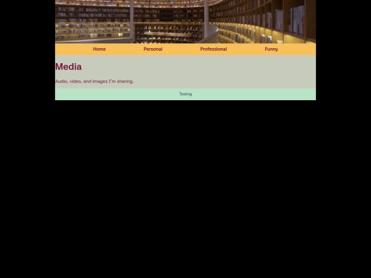 media screenshot