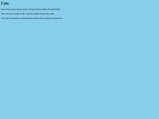 Cat Web screenshot