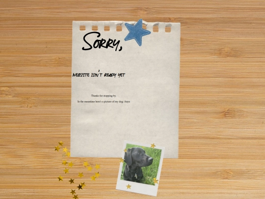 start_page screenshot
