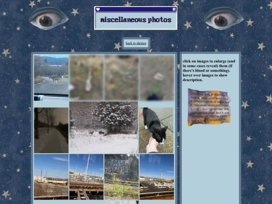 miscphotos screenshot