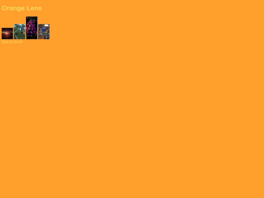 gallery screenshot