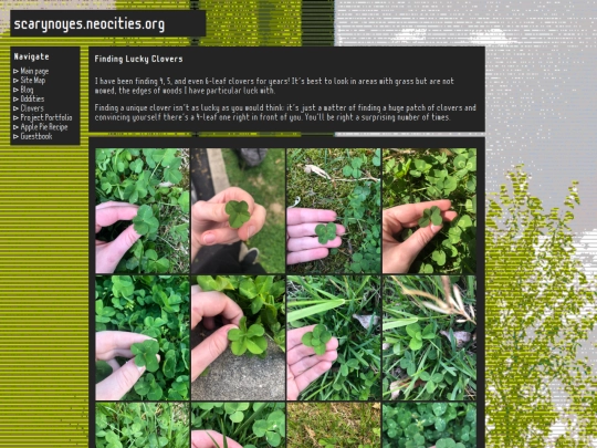 clovers screenshot