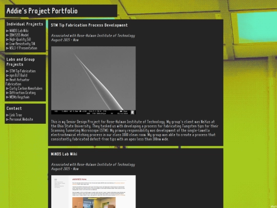 projects/portfolio screenshot