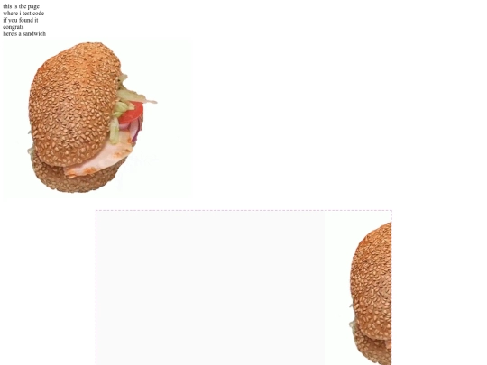 page screenshot