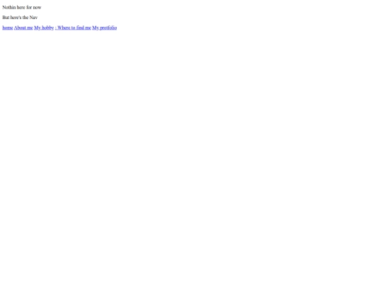 protflio screenshot