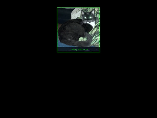 gallery screenshot