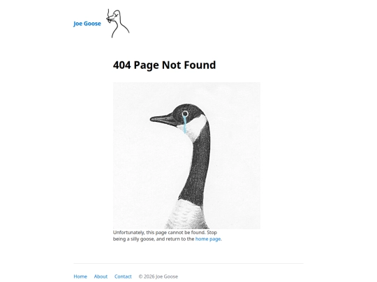 404 screenshot