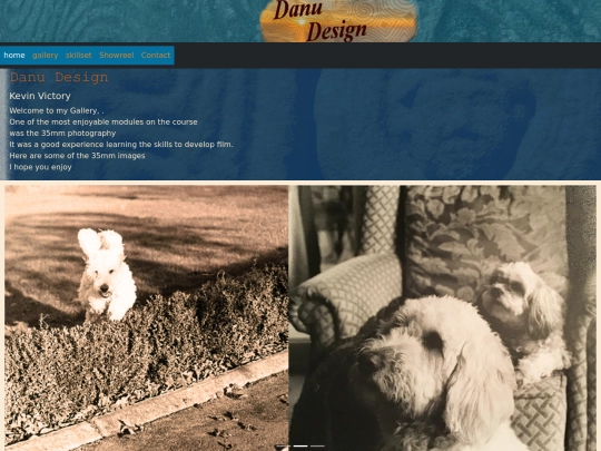Portfolio Website Design CA3/website/gallery screenshot