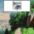 alphacarinae.yorniq.xyz avatar