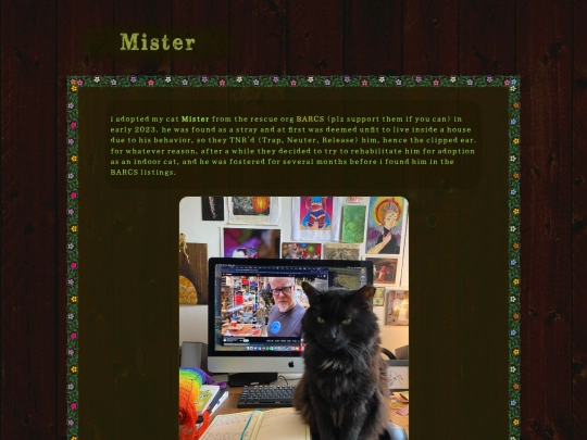 mister screenshot