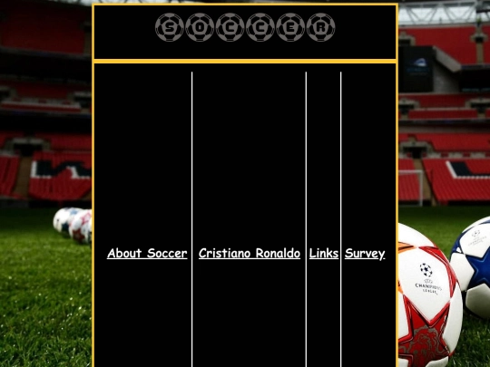 Project screenshot