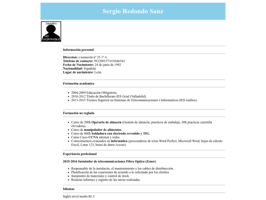 CV/curriculum screenshot