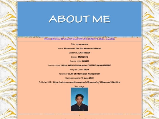 my resume/About me screenshot