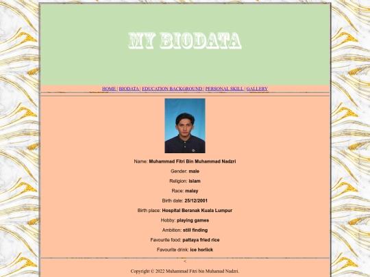my resume/biodata screenshot