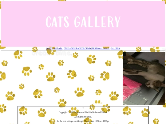 my resume/cats gallery screenshot