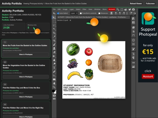 Online Activity Portfolio (1) screenshot