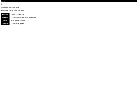 homepage2/about screenshot