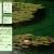 frogstalgia.yorniq.xyz avatar