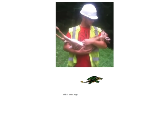 test screenshot