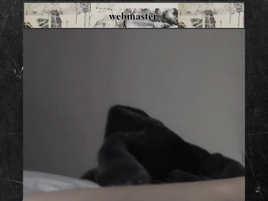 introduction screenshot