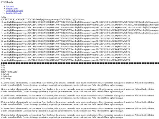 vt323-regular-demo screenshot