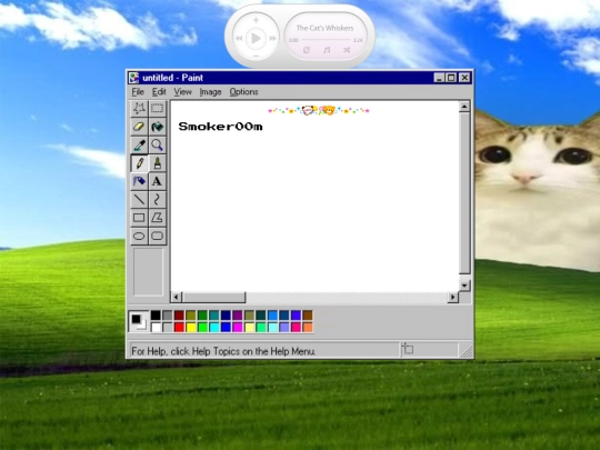 vision screenshot