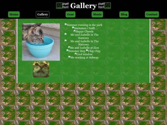 gallery screenshot
