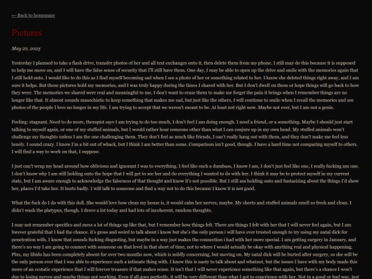 blog/fortieth-post screenshot