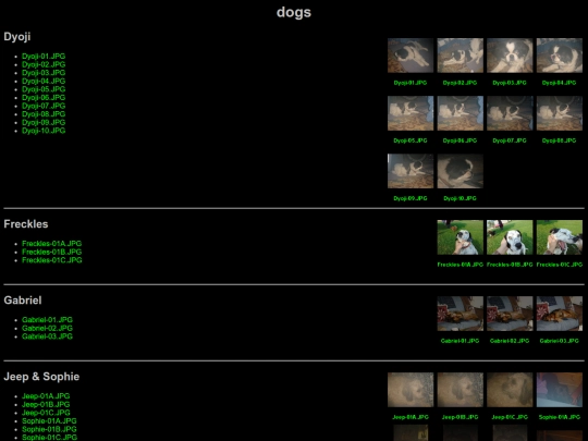 dogs screenshot