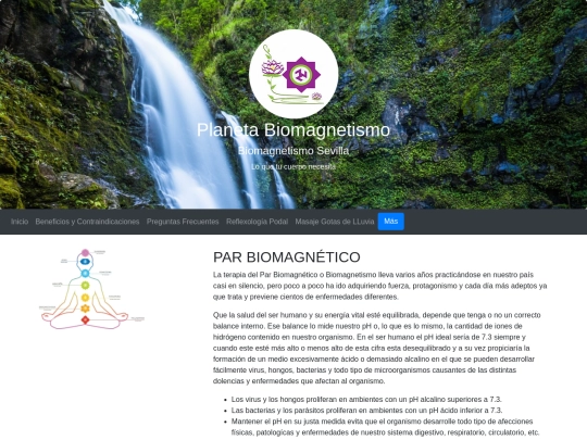 Web Biomagnetismo/Index screenshot