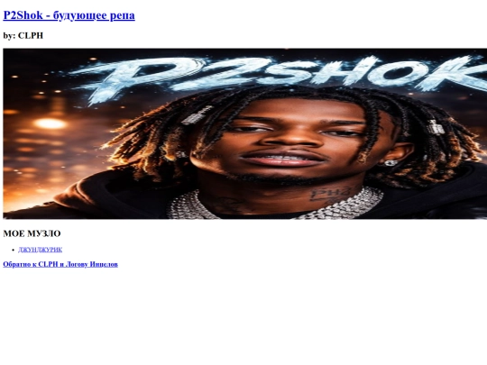p2shok screenshot