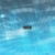 xfe68x.yorniq.xyz avatar