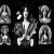 ladymagpie.yorniq.xyz avatar