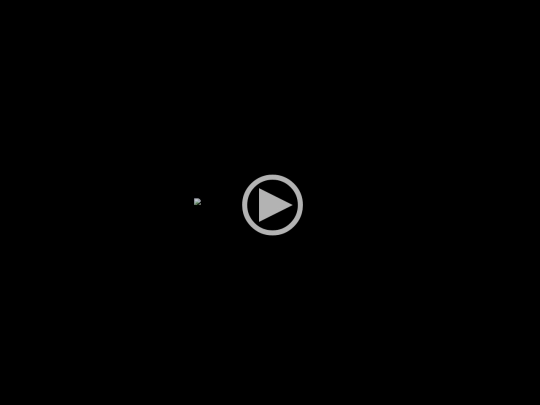 ruffleembed screenshot