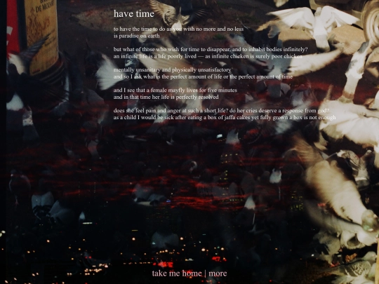 have-time screenshot