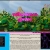 mtnliom.yorniq.xyz avatar