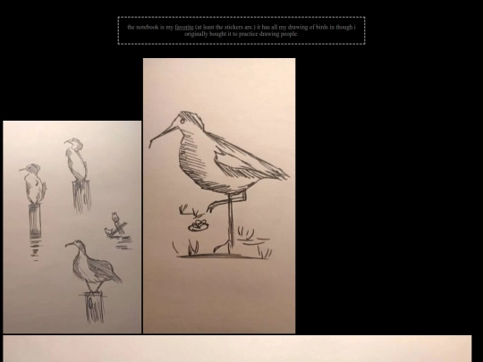 art_html/sketch4 screenshot